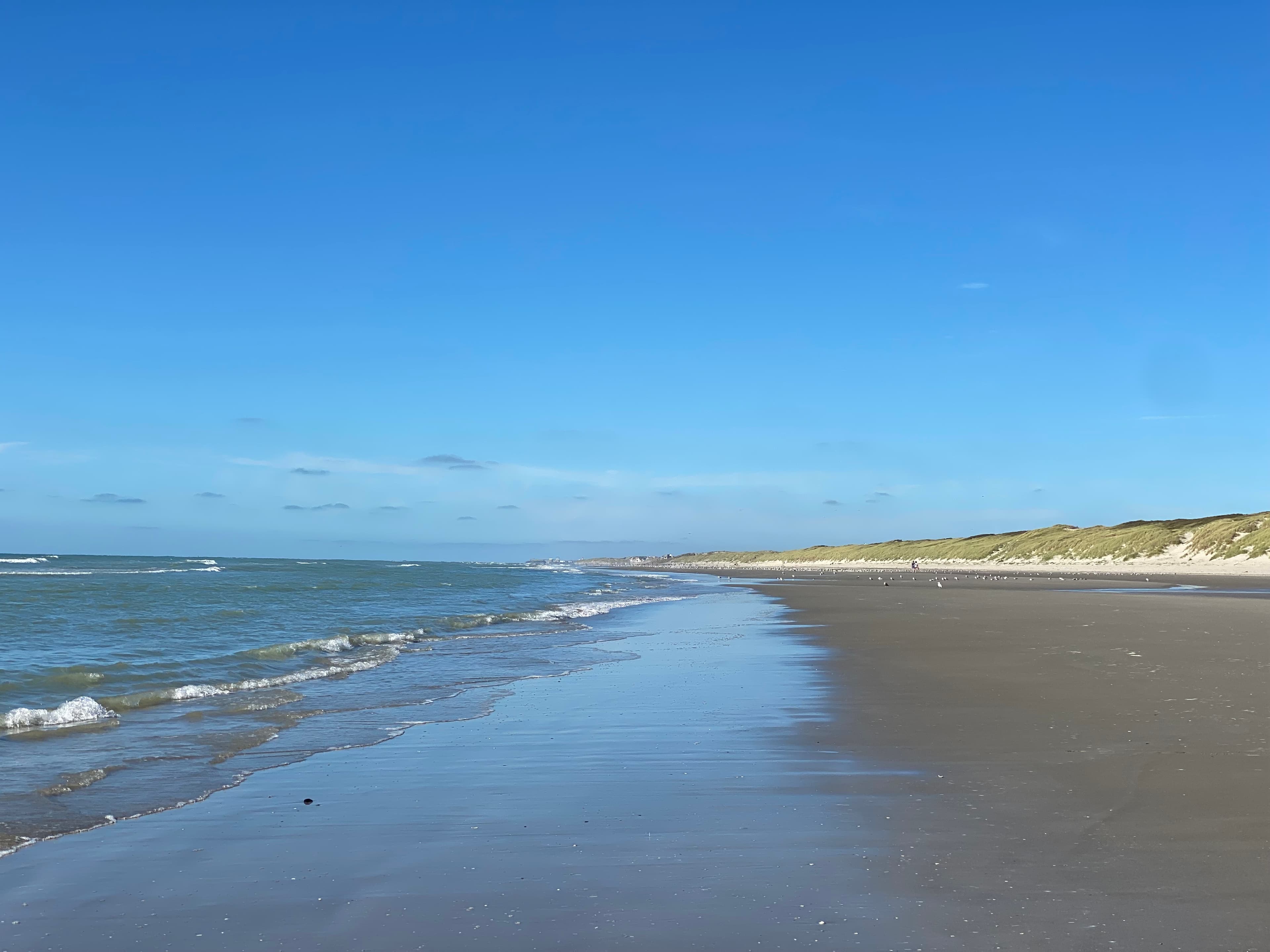 Plage et dunes de la Baie de Somme